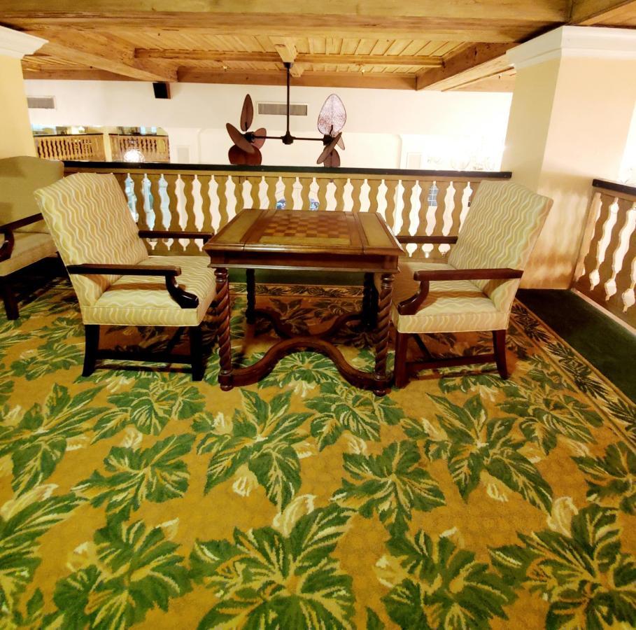 Romantic Studio In The Heart Of Palm Beach Extérieur photo